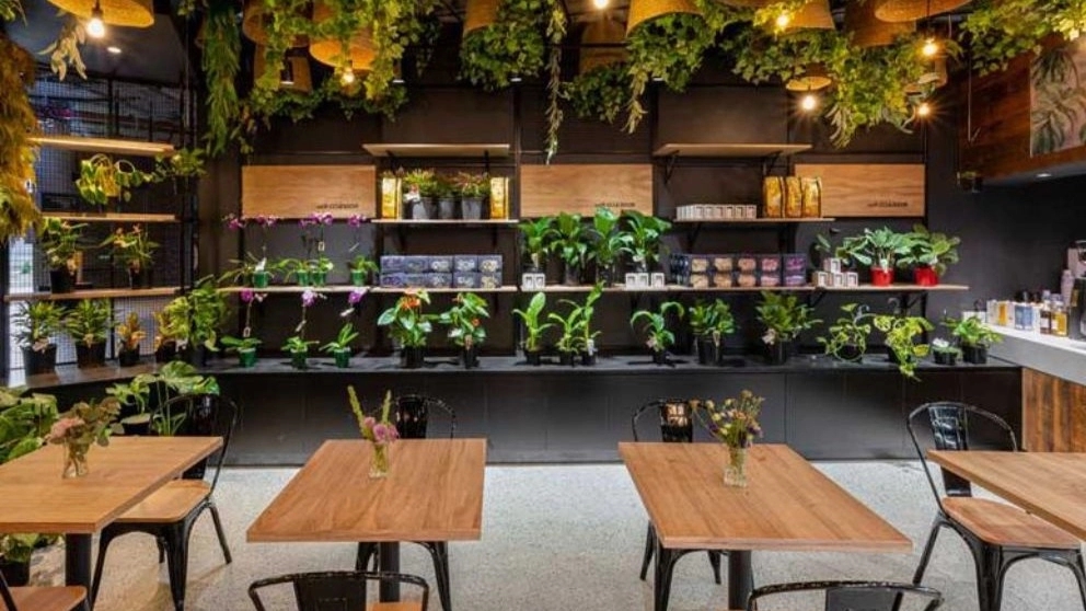 Cafe decoration is more important than its menu to attract customers
