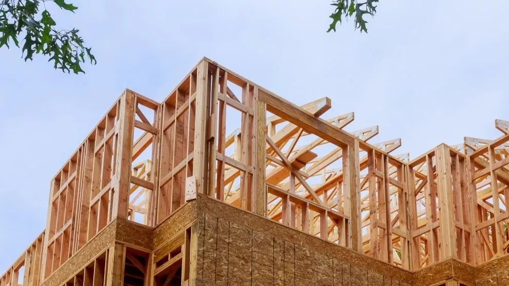 Wooden structure and important points you should know