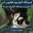 Sirjan Blue Ocean Aquarium Store in Sirjan