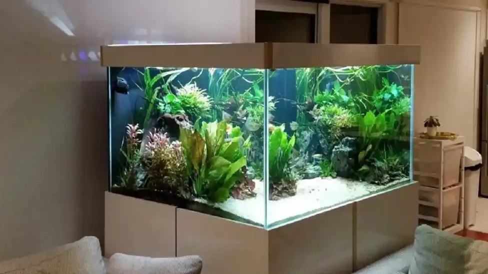 Review of aquarium supplies and their use