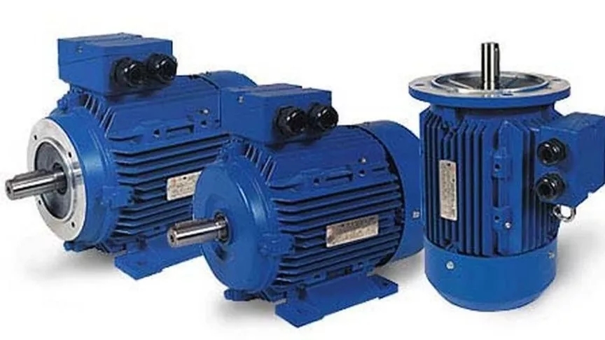 Types and performance of electric motors