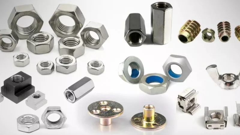 Introducing the types of nuts and checking the use of each one