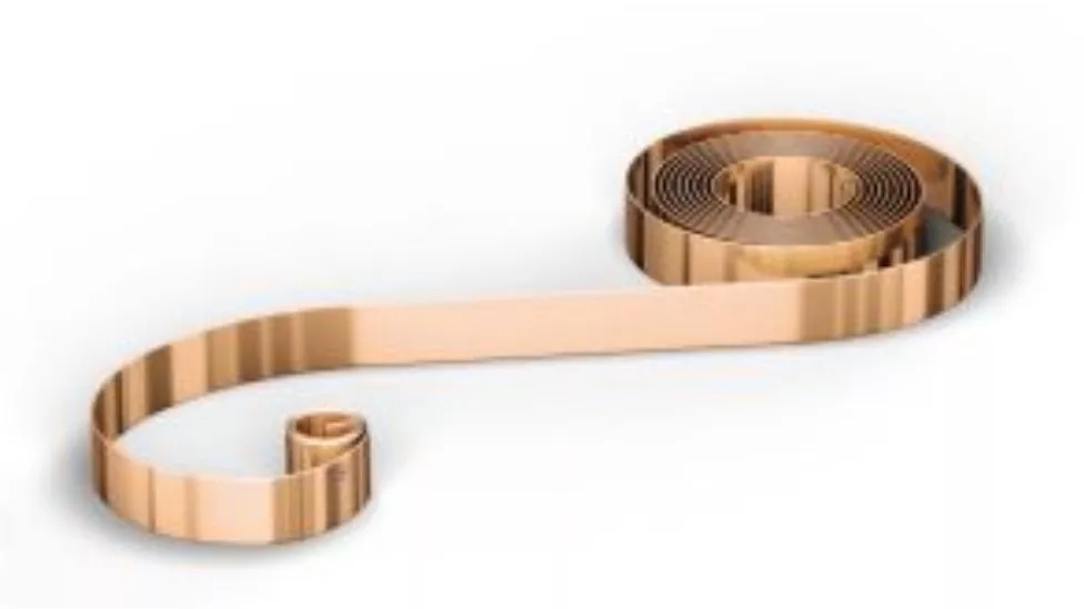 spring belt