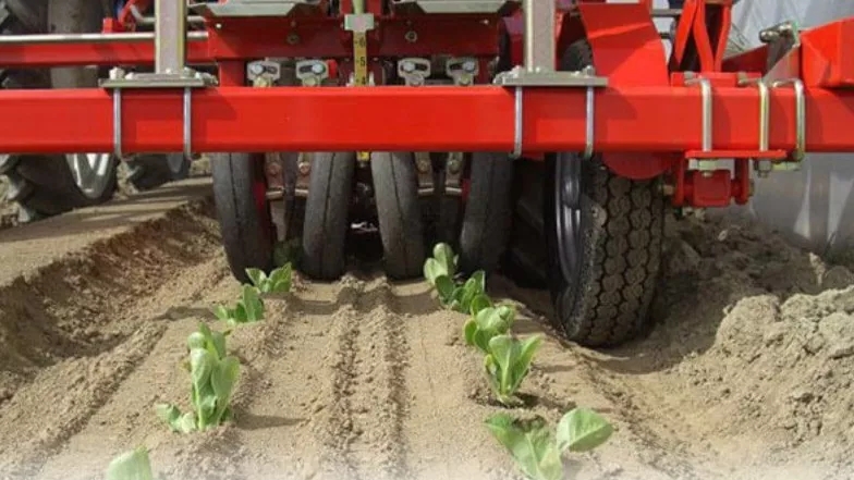 Planter and its most used types