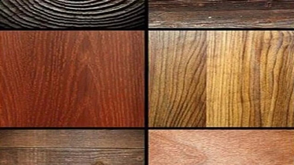 Types of wood used in the furniture industry
