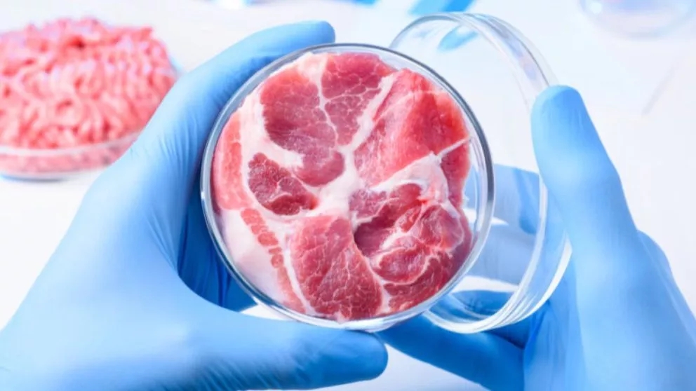 How to prevent spoilage of meat and meat products