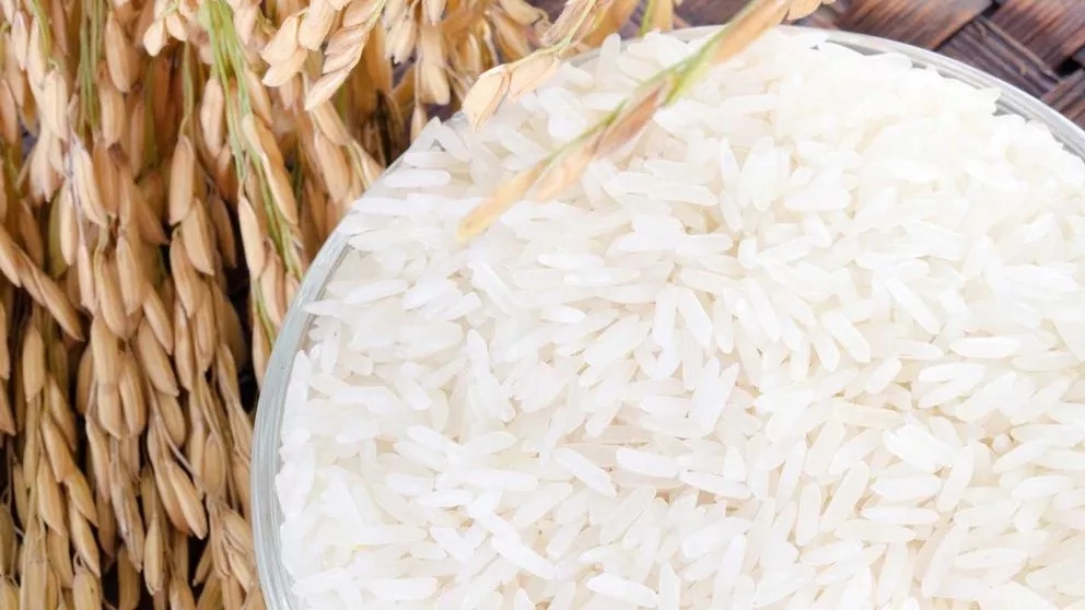 Methods of identifying good rice