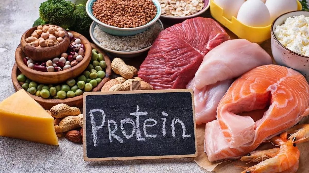 Why is protein so important?