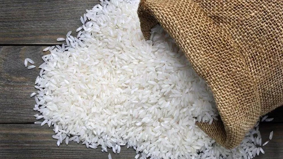 معرفی برنج دم سیاه