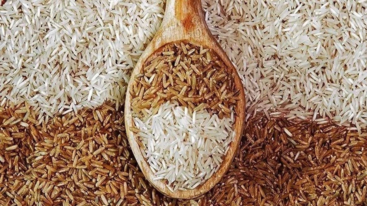 Production and supply of rainfed Mazandaran rice in Kerman