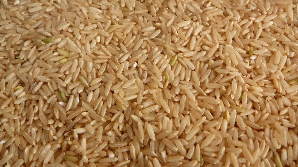 What is brown rice?
