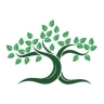 Production and sale of transplanted seedlings of Babak Nosrati in Miandoab