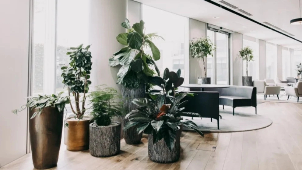 What principles should we know for the interior decoration of the company?