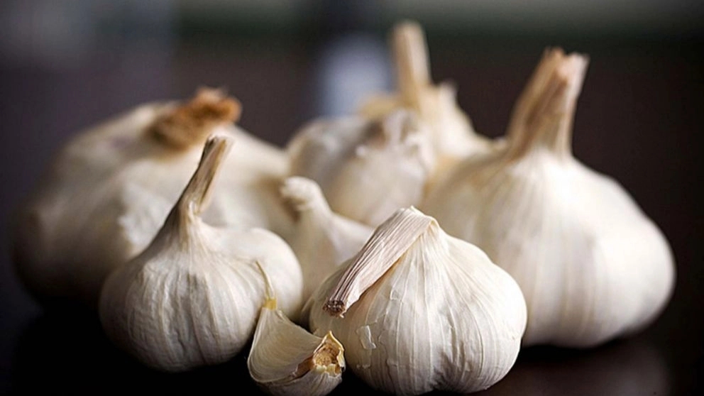 Properties of raw garlic