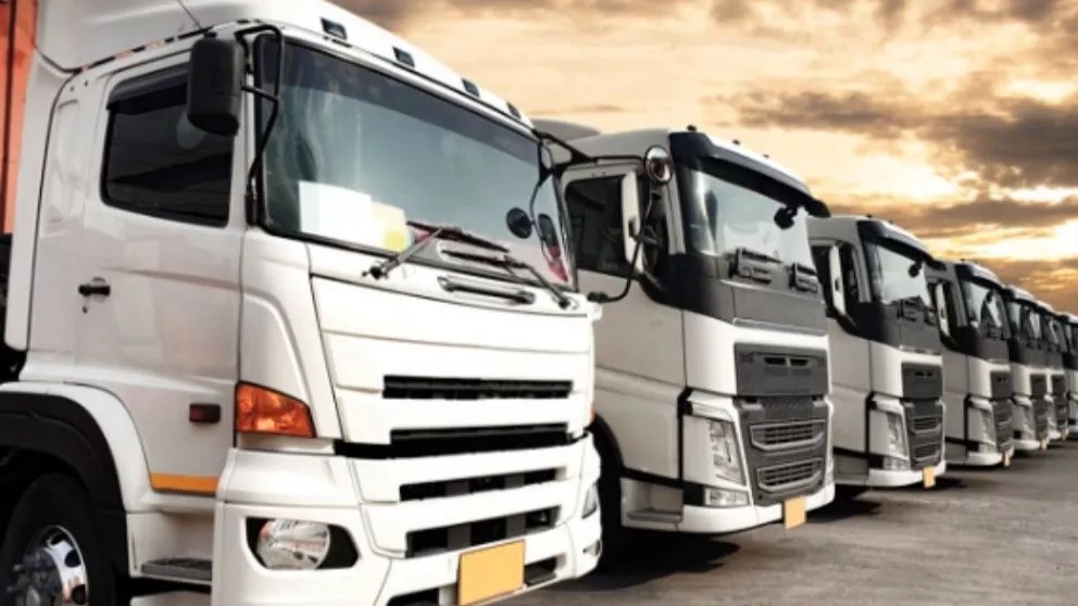 What is a shipping company?
