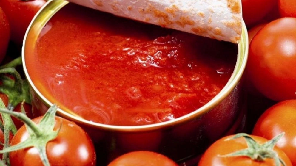 Properties of tomato paste