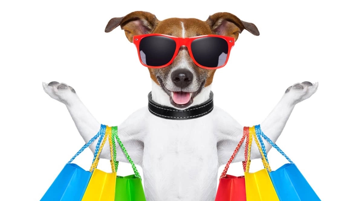 Pet Shop 23 in Ahvaz, selling all kinds of pet food and accessories 23 in Ahvaz