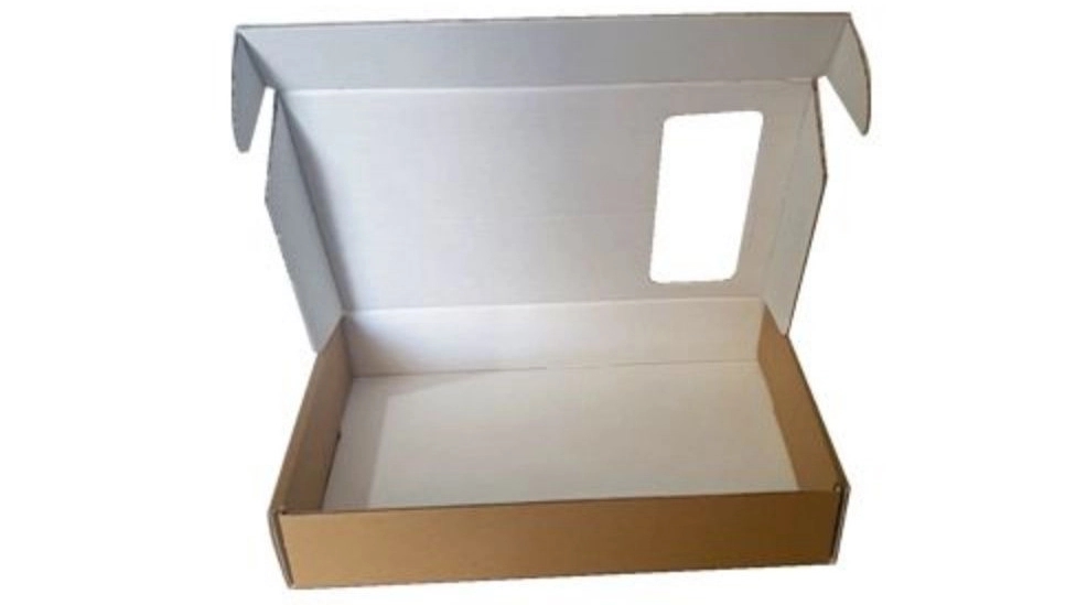Sina Pack box and carton making in Isfahan