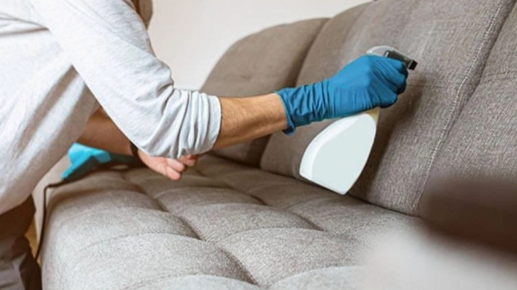 Detergents used in washing sofas