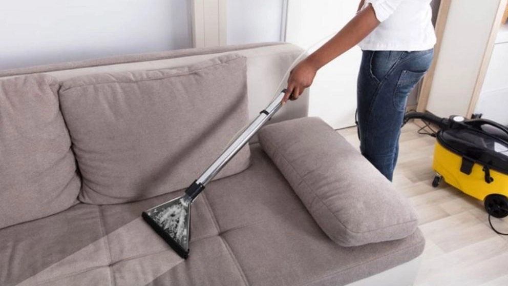 sofa washing