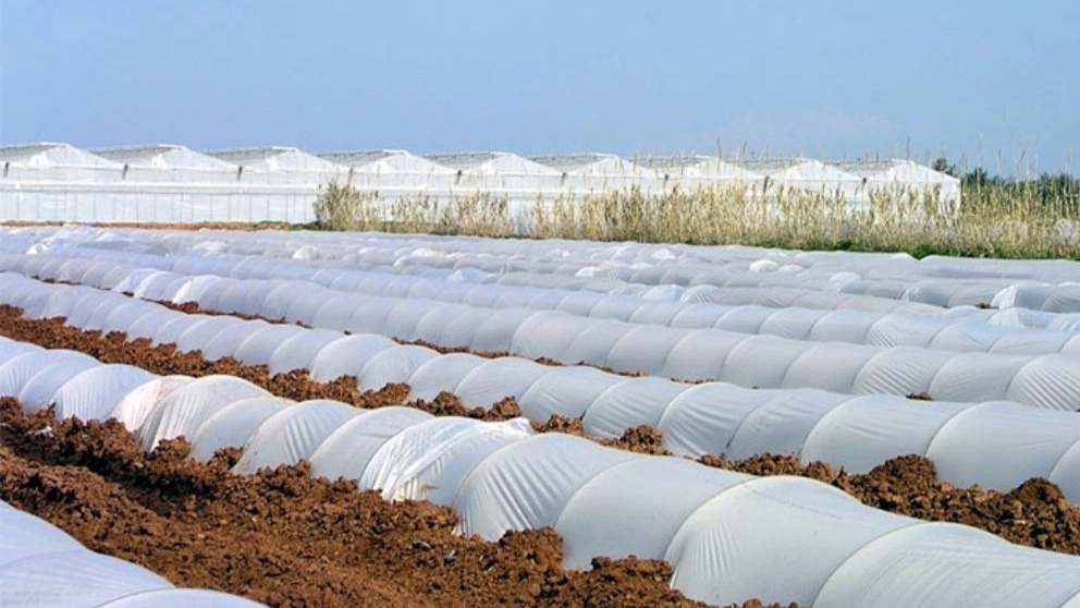 Types of agricultural nylon