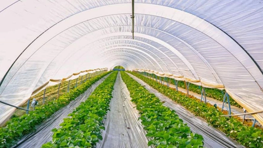 Features of agricultural nylon