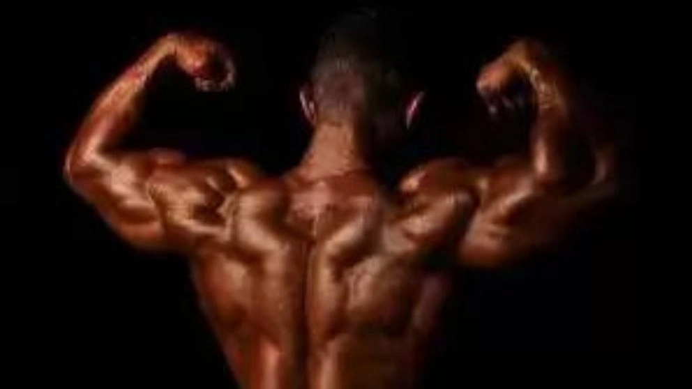 West Mazandaran Championship Base Body Building Boxing Club