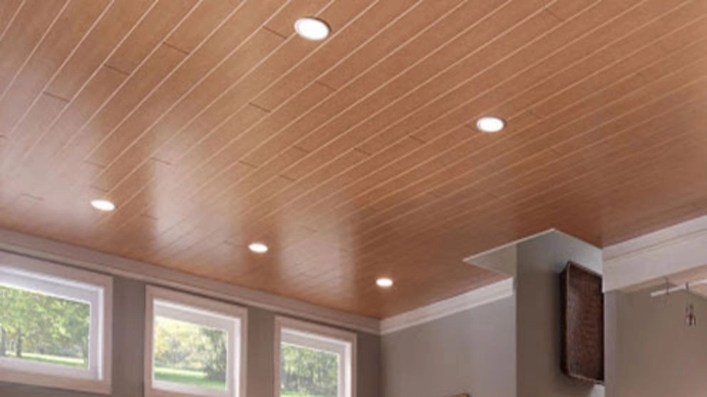 Advantages of PVC building roof