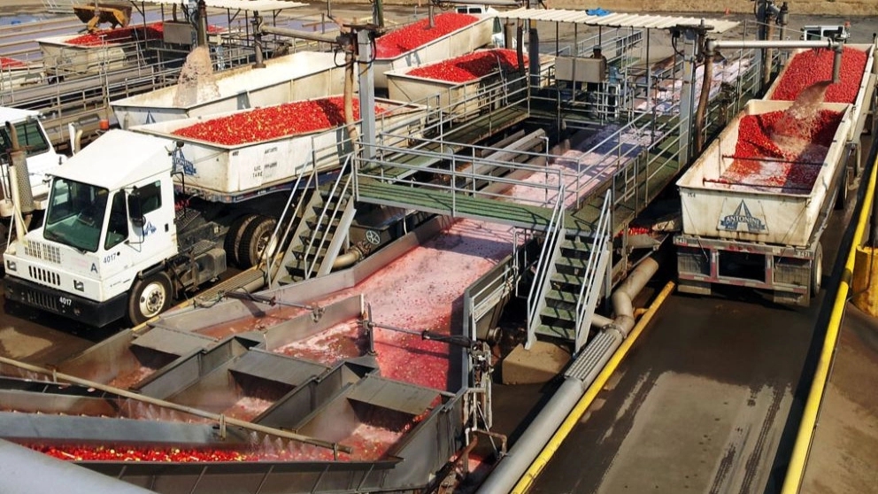 Types of food production lines