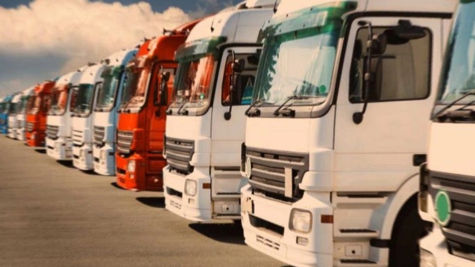 What are the factors influencing the cost of shipping?