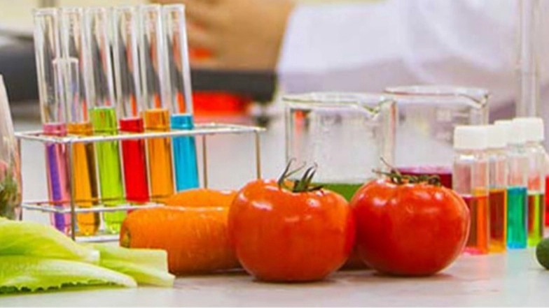 The use of chemicals in the food industry