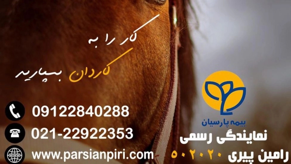 502020 agency of Parsian Insurance in Tehran