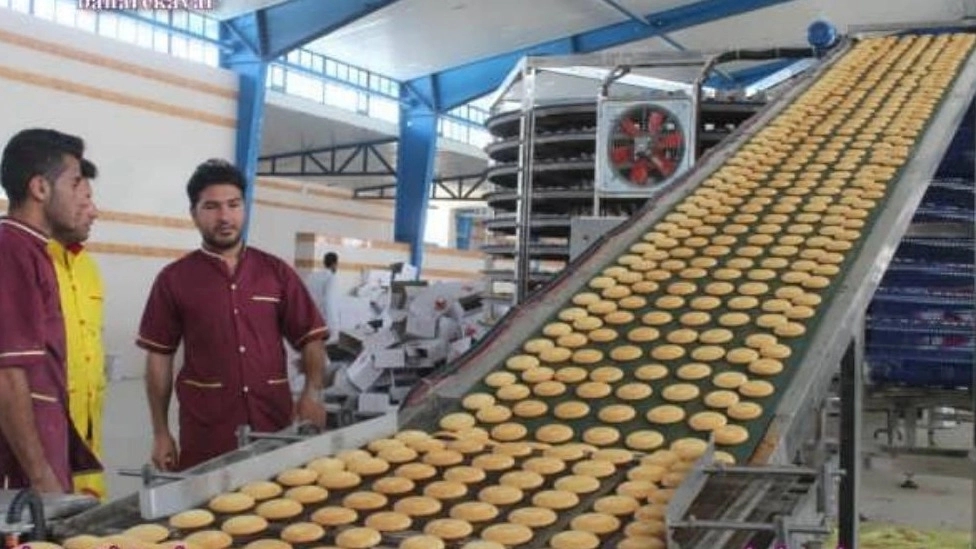 Explanatory plan for the production of cakes and cookies
