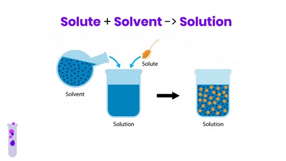 Familiarity with the definition of solvent and soluble in simple language