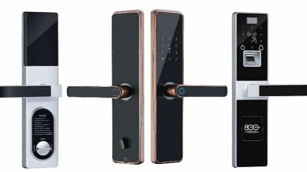 Features of emergency door handles