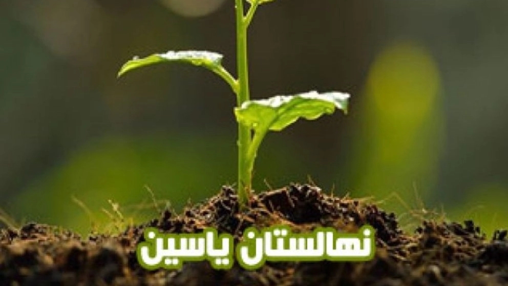 Yasin nursery in Damavand