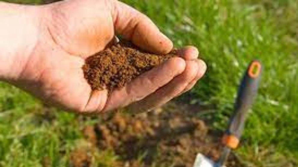 soil test