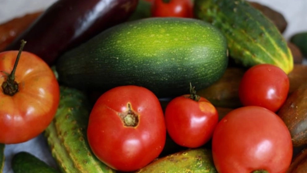 Iron fertilizer for summer crops and vegetables
