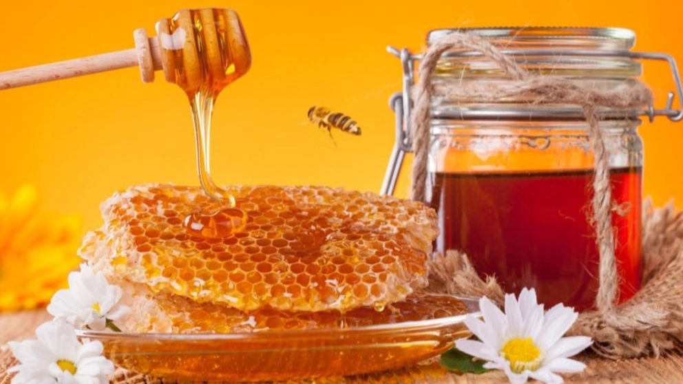 What are the unique properties of beeswax? Applications of beeswax