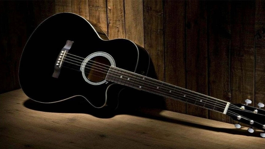 Woods used in making guitars