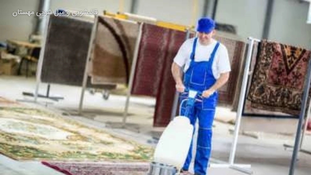 ☑️ What is a carpet cleaner and what features should a good carpet cleaner have?