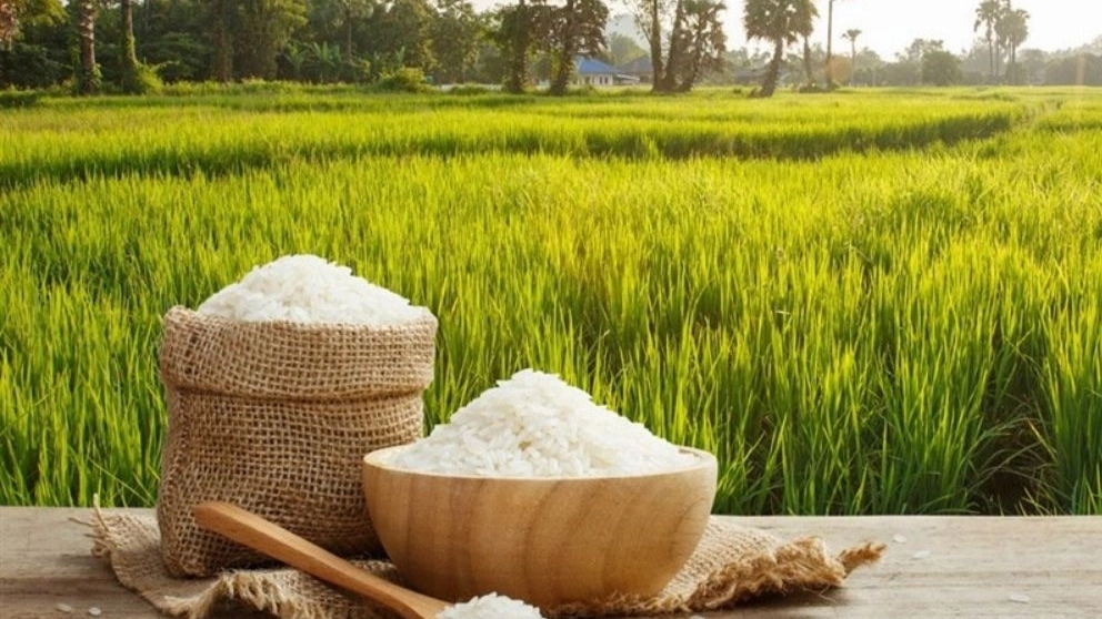 Anbarbo Azizan rice production and distribution factory in Ahvaz, Khuzestan