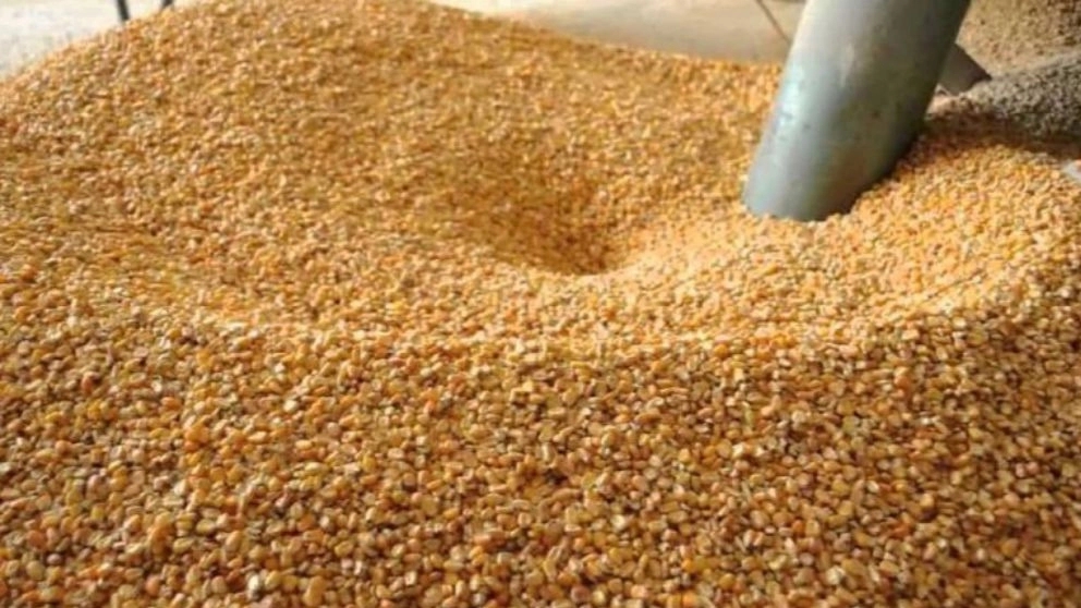 All kinds of animal and poultry feed supplements