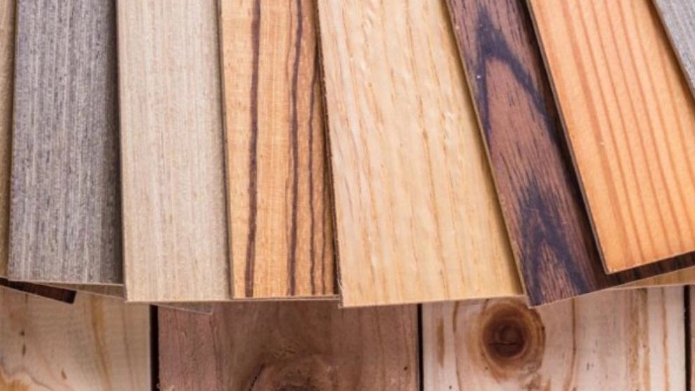 Types of wood used in the furniture industry