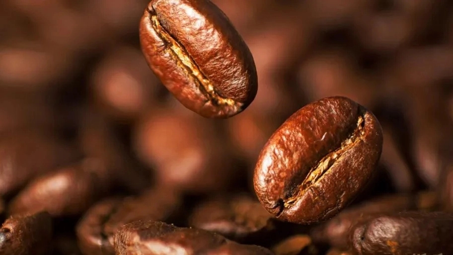 What are coffee beans? Getting to know the types of coffee beans