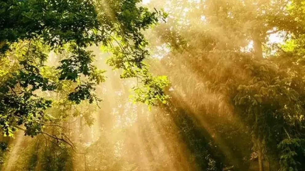 The importance of light in photography; Getting to know the effects of lighting in photography