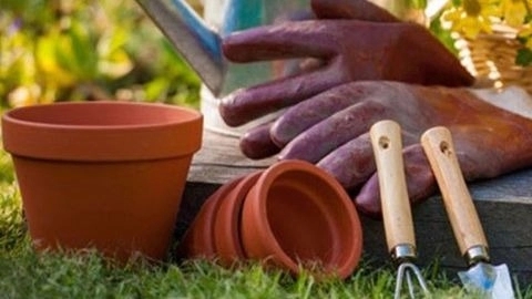 Basic principles of gardening