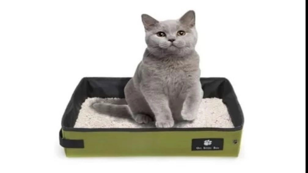 ☑️ Cat litter