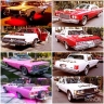 Renting a classic bride's car in Tehran