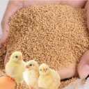 Wholesale sale of Baharan Hashminejad commercial animal feed in Qazvin